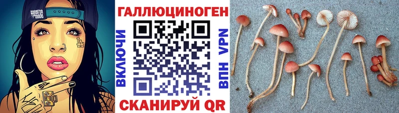 Галлюциногенные грибы ЛСД Цоци-Юрт